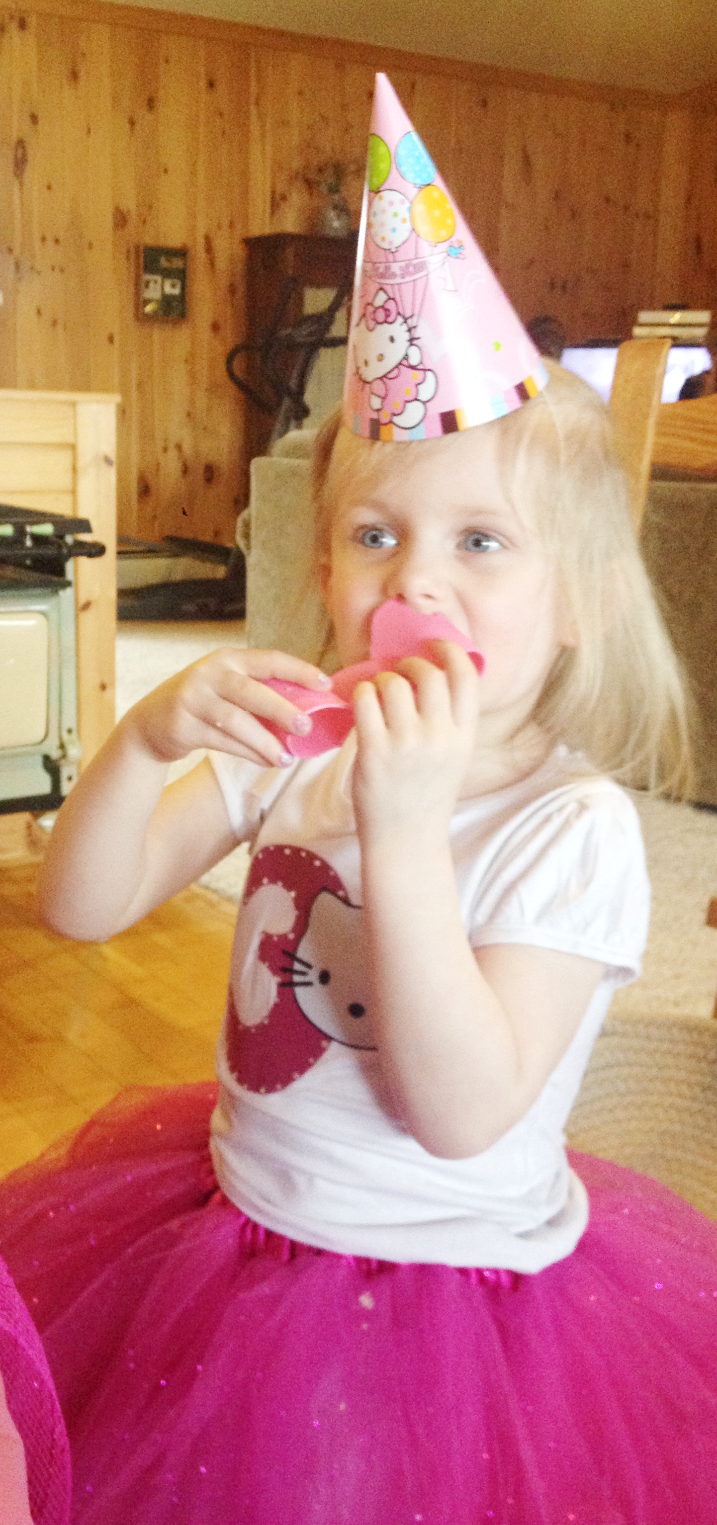 Bonus Post! Pictures of Hailey’s 3rd birthday!